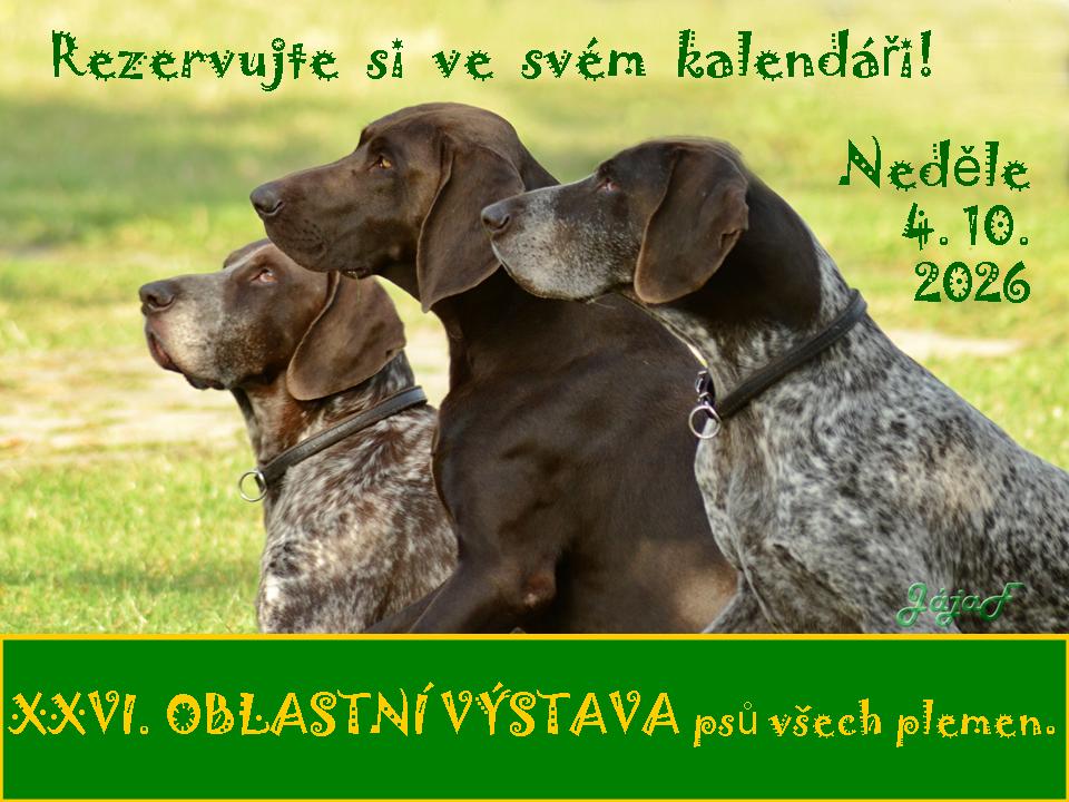 XXIV. OBLASTNÍ VÝSTAVA PSŮ VŠECH PLEMEN ŘÍJEN 2026
