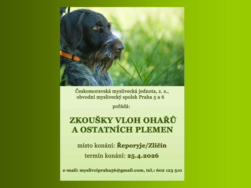 ZKOUŠKY VLOH ohařů a ostatních plemen 25.4.2026!